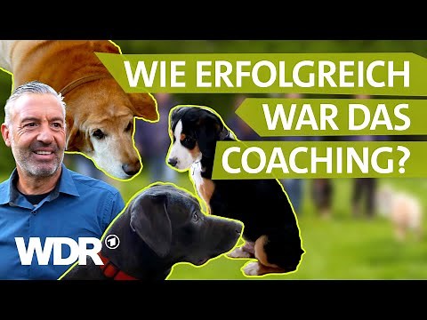 The Reunion: How Humans & Dogs Have Developed | Understanding Dogs | S04/E05 | WDR