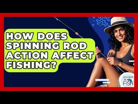 How Does Spinning Rod Action Affect Fishing? - Chasing Big Fish