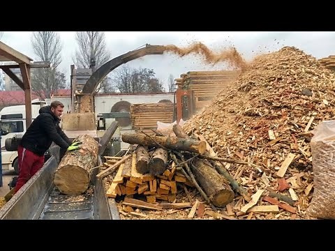 The Operator Who Processes Timber Like a Machine