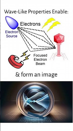 How & Why Electron Microscopes Work