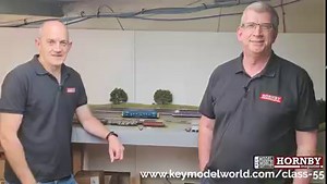 The Deltics are here! read our full collection of features on the Class 55: https://hubs.ly/Q01g5xSr0 Don't forget to share a picture of yours on your layout below! 😃 Accurascale UK | Hornby Magazine