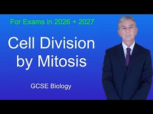 GCSE Biology Revision "Cell division by Mitosis"