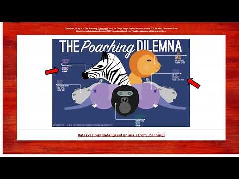 Medium Scoring Sample Annotated TMP Slideshow