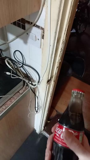 life hack on how to open a glass bottle with out a bottle opener