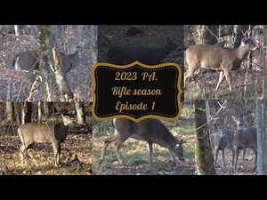 2023 Opening Day Pennsylvania Firearms Deer season