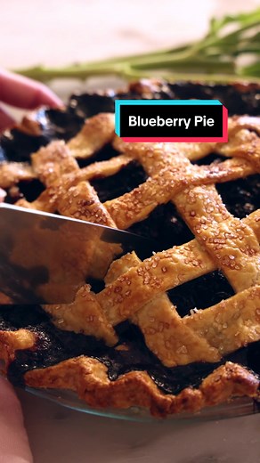 Delicious Blueberry Pie with Lemon Kissed Flavor