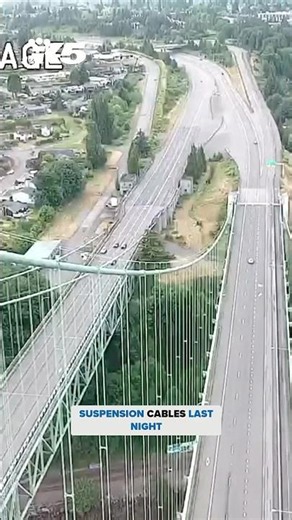 Climbers temporarily shut down Tacoma Narrows Bridge