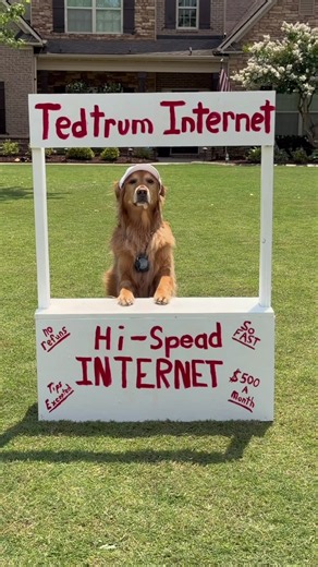When the Scam Stand comes out you have to keep your guard up, but this time I saw right through it! @Spectrum competitors claim to be fast and reliable, but when it comes down to it, there is only one Internet we trust to run our house…and the doghouse. Check out Spectrum today and see what they can do for you! #SpectrumPartner #GoldenRetriever #dogs
