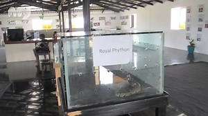 Omu Resort in Lagos Nigeria