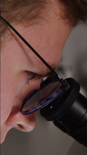 Zoology Degree | Discover Science | University of Cumbria