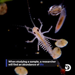 296K views · 2.3K reactions | A drop of water seems so simple.  匿 by My Microscopic World #EarthMonth #EarthDay | Science Channel | Facebook