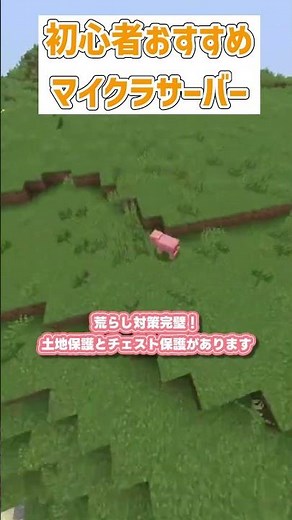 【参加型】全機種参加できる初心者大歓迎サーバーはココだけ！ 遊びやすいサバイバルを楽しもう #マイクラ参加型