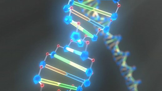James Watson, Francis Crick, and DNA structure | Britannica