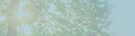 Drug Detox: Process, Side Effects & Detox Centers Near Me