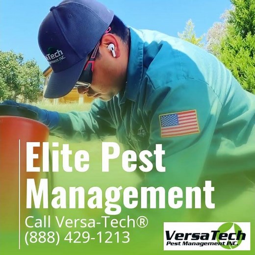 Trusted Pest Management | Versa Tech® | Los Angeles County Commercial & Residential Pest Control