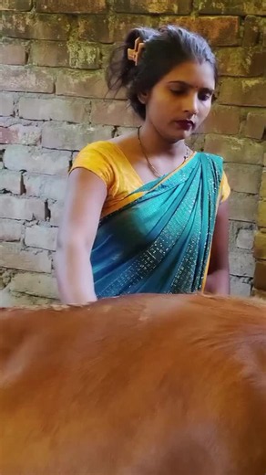 Cow care tips for owners: simple daily routine