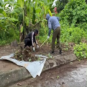 32K views · 31 reactions | People here have seen the importance of cleaning the sidewalks #abandoned #lawn #cleanup #cleaningmotivation #clean #overgrown #transformation | Clean Up TV | Facebook