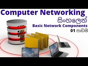 Computer Networking සිංහලෙන් | Lesson 01 - Basic Network Components