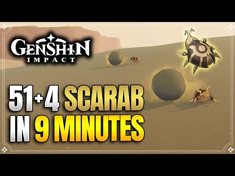 Scarab Locations | Fast and Efficient Farming Route | Ascension Materials |【Genshin Impact】