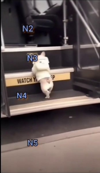 Levelတစ်ခုကို 2years အချိန်ယူတာ