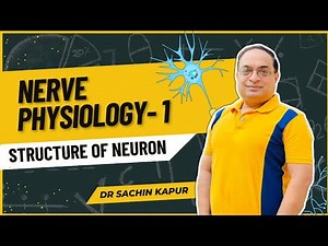 MBBS First Year | Nerve Physiology | Structure of Neuron| Dr Sachin Kapur | AIIMS