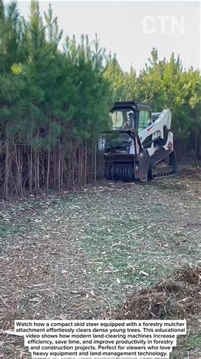 Forestry Mulcher in Action – Powerful Land-Clearing Technology
