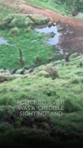 A New Zealand father on the run with his three children has been filmed for the first time since they went missing three years ago. | People