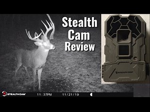 Stealth Cam QS14 Trail Camera Review - Great Quality Trail Camera Under $50