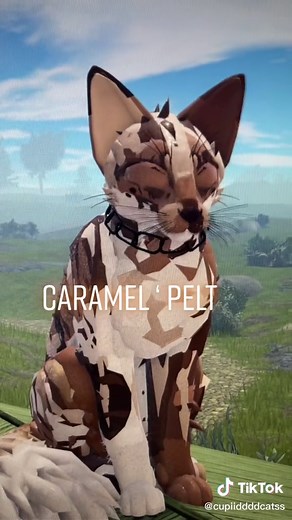 Reply to @cupiiddddcatss here are the toms ! ||^|| #fyp #foryou #warriorcats #roblox #foryoupage #wcue #warriorcatsultimateedition