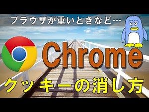 【Chrome】クッキーの消し方と気をつけるべきポイント。この動画ではクッキーとは何か、そのいくつかある消し方やそれに関する設定を紹介いたします。PC初心者の方、そうでない方も参考にしてみてください。