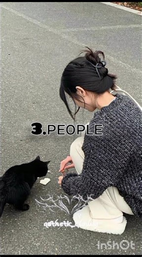 how many English song you know