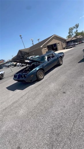 25K views · 755 reactions | 1981 Pontiac Trans Am $14,900 Maple Motors #2675 #oldschool #1981 #pontiac #transam #TA #hotrods #dealer #deals #80s #usa #trans #am #streetcars #rides #cars #80s | Maple Motors | Facebook