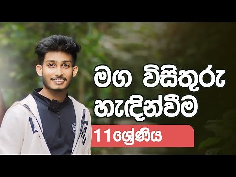 11 ශ්‍රේණිය සිංහල පන්තිය | මග විසිතුරු හැඳින්වීම | @bashaparadisaya | #sinhala #onlineclass
