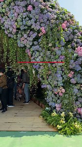 2.8K views · 78 reactions | An annual event for floral lovers, the Hong Kong Flower Show is back at Victoria Park this year with stunning displays, live performances, competitions, workshops, and more. Visit bit.ly/HKFlower2023 for more info! | Time Out Hong Kong | Facebook