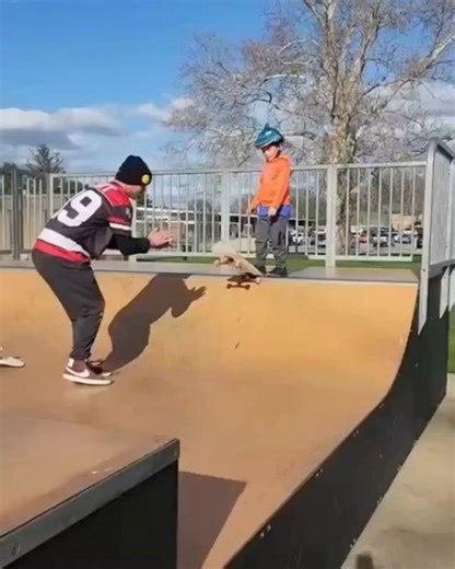 5.4K views · 17 reactions | BrailleSkateboarding on Reels | Facebook