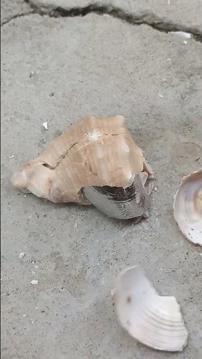 Hot Metal - Pouring Molten Aluminium #shorts #aluminium #metalcasting #molten #hot #restoration