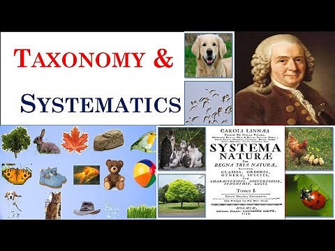 Taxonomy | Systematics | Carolus Linnaeus | Part 1
