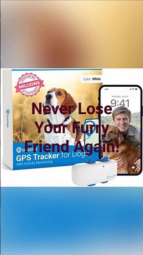 Never Lose Your Furry Friend Again: Review of the Tractive GPS Dog Tracker! 🐾📍