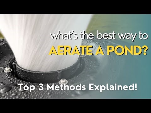 How To Aerate A Pond - The 3 Most Effective Pond Aeration Methods