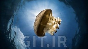 Machine Learning Applied to Stock & Crypto Trading - Python