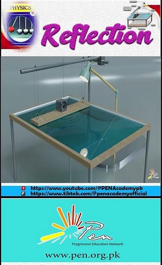 What is Reflection I Reflection in Ripple Tank I SHM and Waves I lesson 8 Physics