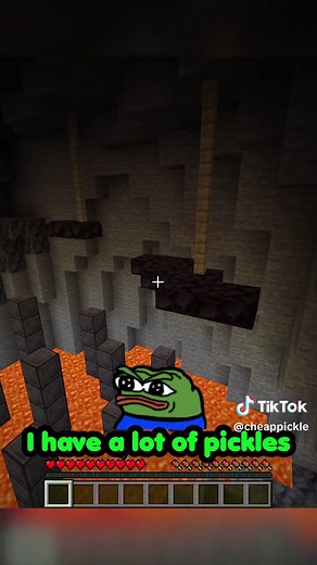 CheapPickle on TikTok