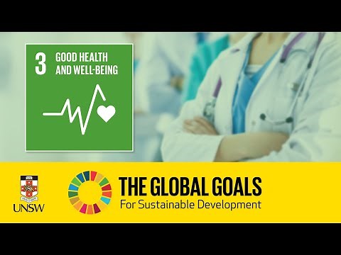 Sustainable Development Goal 3 - Good Health and Well Being - Kristen Beek and Sophia Lin