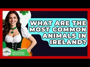 What Are The Most Common Animals In Ireland? - Discovering Ireland Now