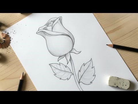How to Draw a Rose with Pencil | Easy Rose Drawing Tutorial