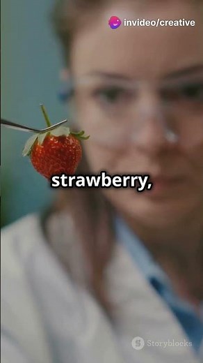 Extracting DNA from a Strawberry in 2024! Easy at-home science experiment.