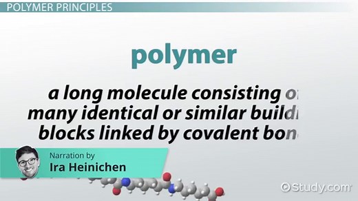 Polymerization Overview, Process & Examples