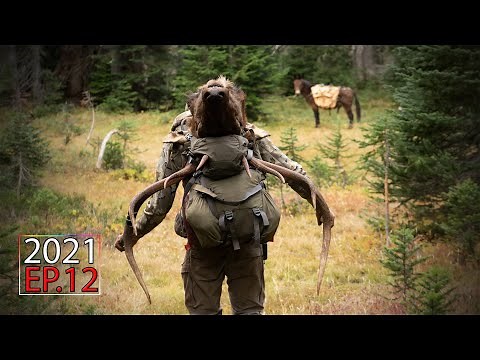Insane Opening Day in the Elk Woods - Washington OTC Elk Hunt | 2021 Hunting Season EP.12