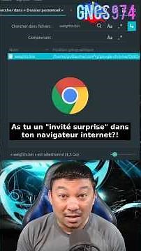 A 4GB AI in Google Chrome without your consent #gemininano #googlechrome