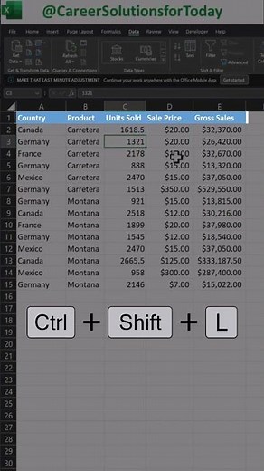 Excel Quick Tips - Filtering Keyboard Shortcuts